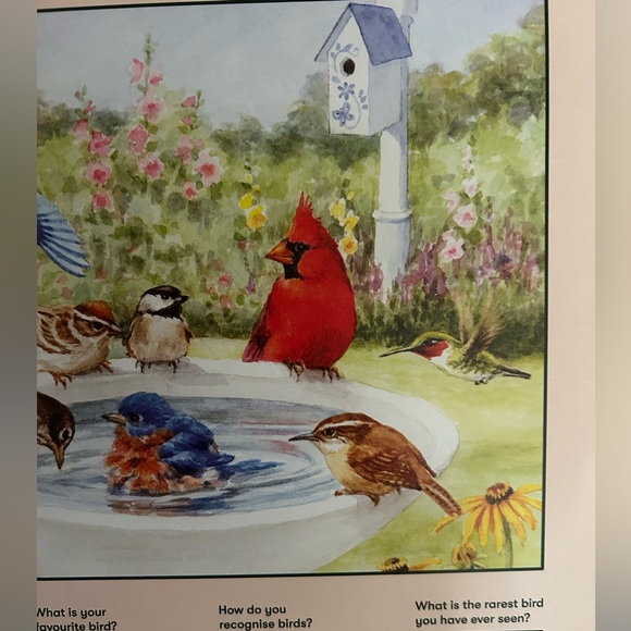 Relish Puzzle Large Pieces For Seniors- Dementia Product 35 Piece Bathing Birds - Picture 6 of 13